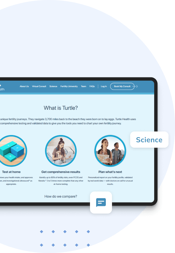 Web Portal Solution
