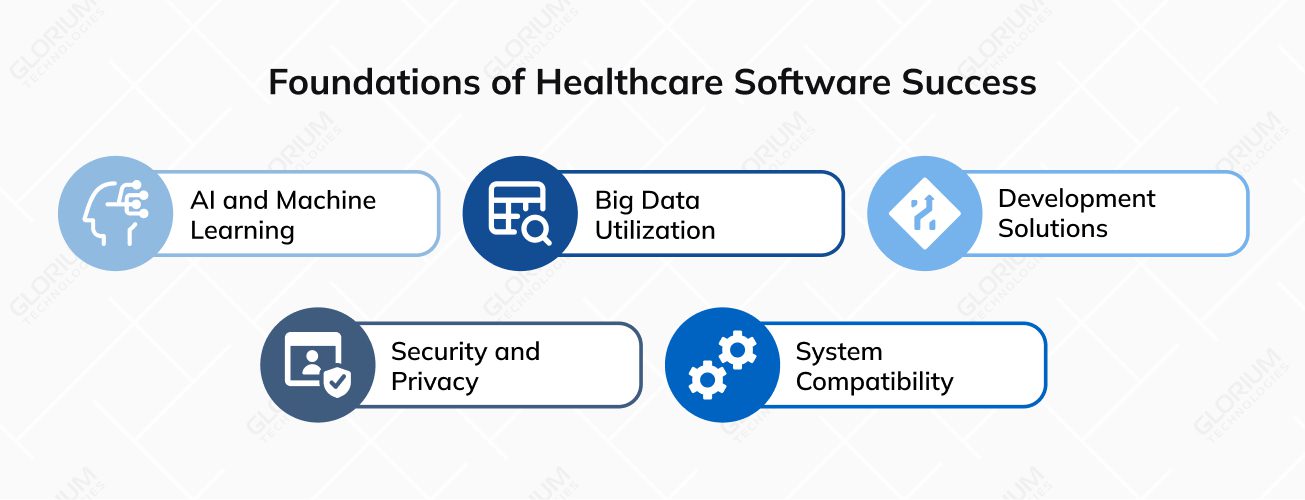 Foundations of Healthcare Software Success