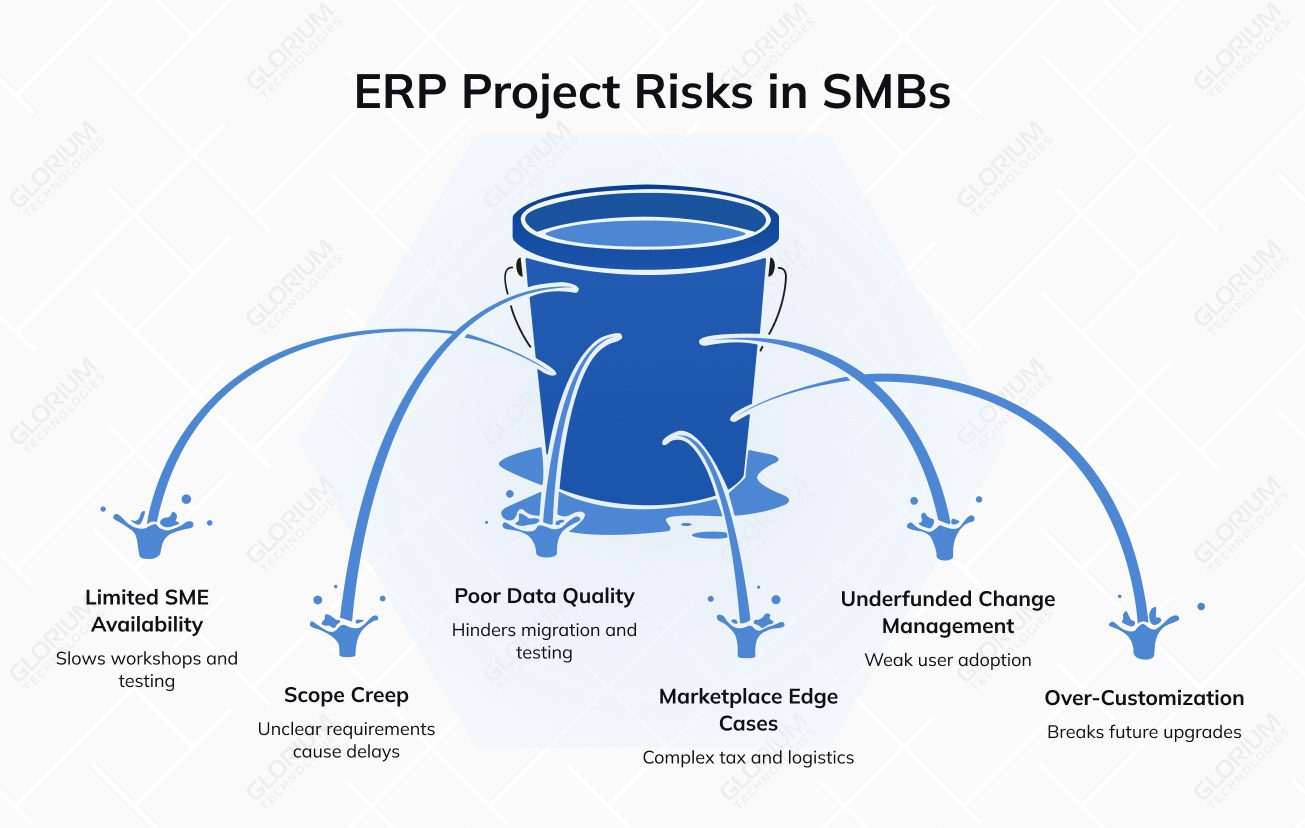 ERP Project Risks in SMBs ERP Project Risks in SMBs