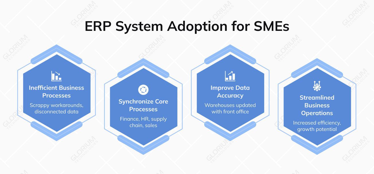 ERP System Adoption for SMEs